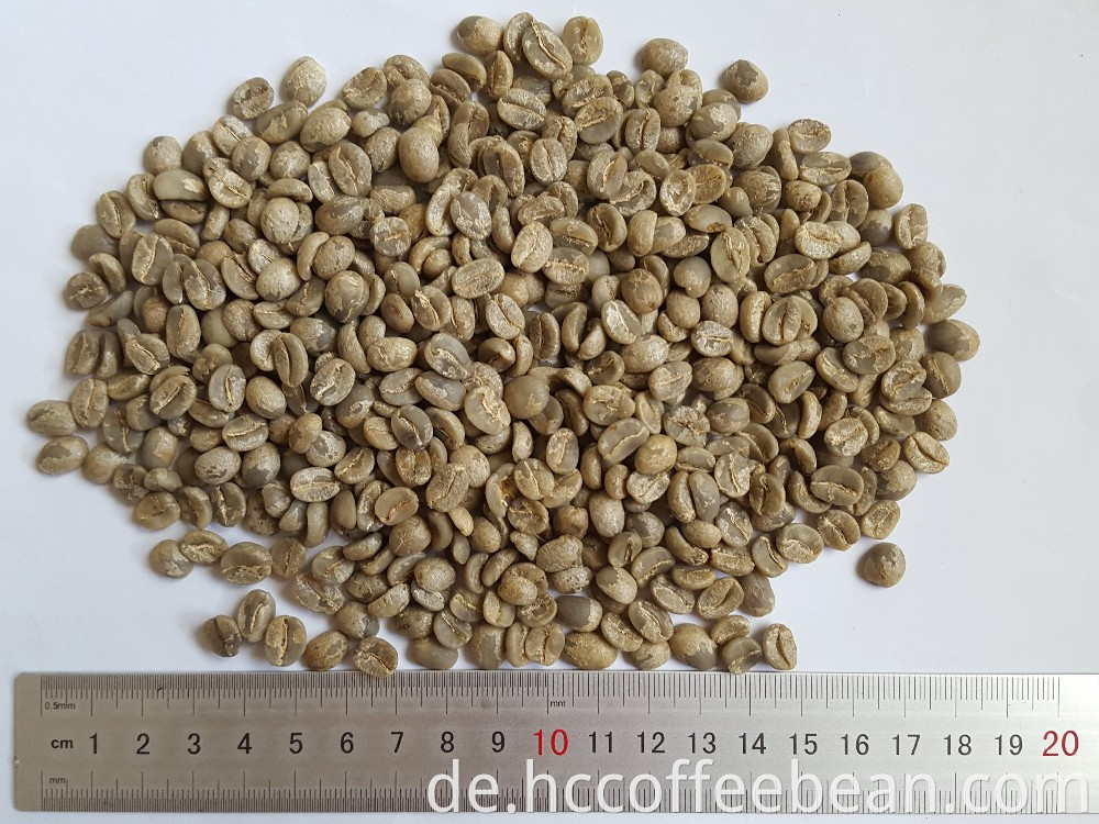 Chinesische grüne Arabica-Kaffeebohnen, gewaschen, Klasse AA 17, Kaffeefabrik